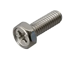 Incone Hex Screw